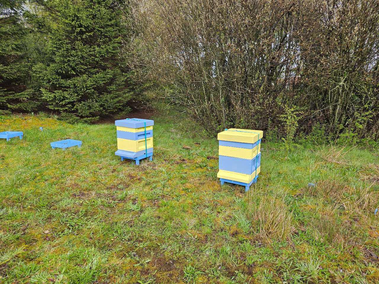APRIL - Setting Up the New Apiary - Honey From The Hill | Ramsbottom